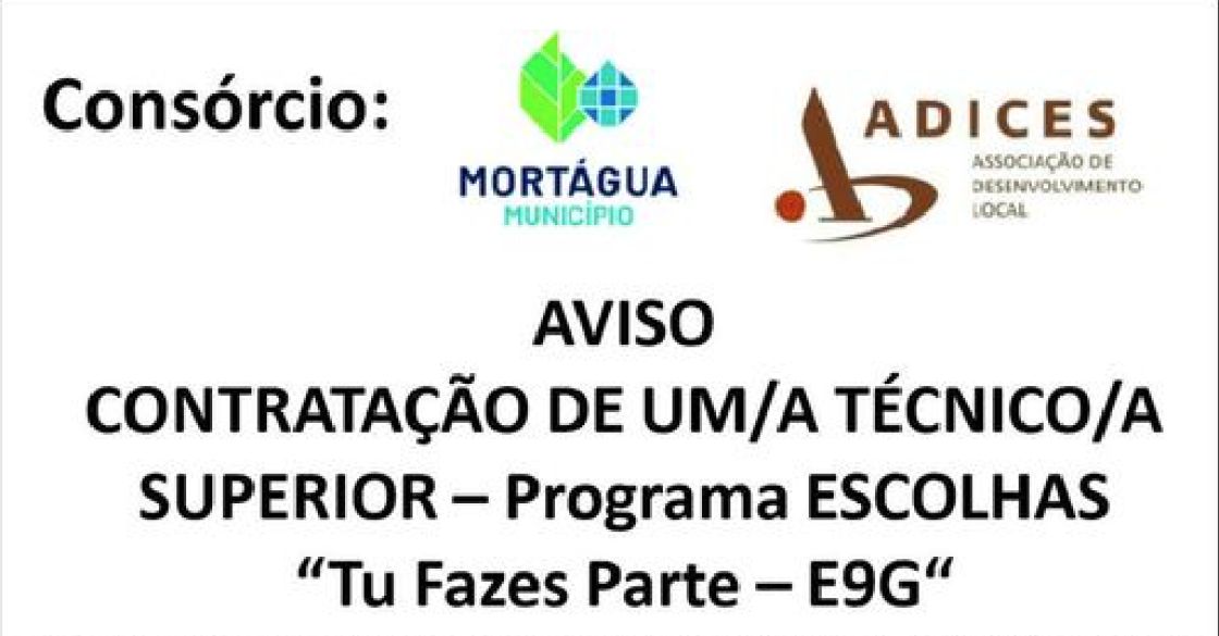 AVISO CONTRATAÇÃO DE UM/A TÉCNICO/A SUPERIOR — Programa ESCOLHAS "Tu Fazes Parte — E9G"